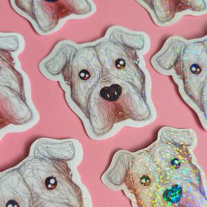 Adesivo Holográfico Boxer