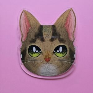 Placa de Acrílico Gatinho Cinza com Olhos Verdes